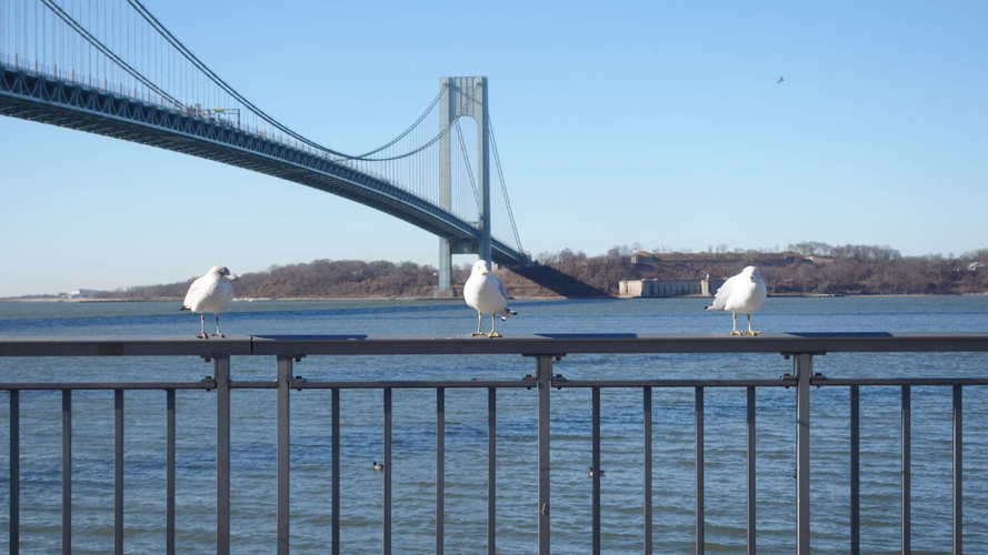 NYC_2024-02-05 10-01-27_RX_07382
